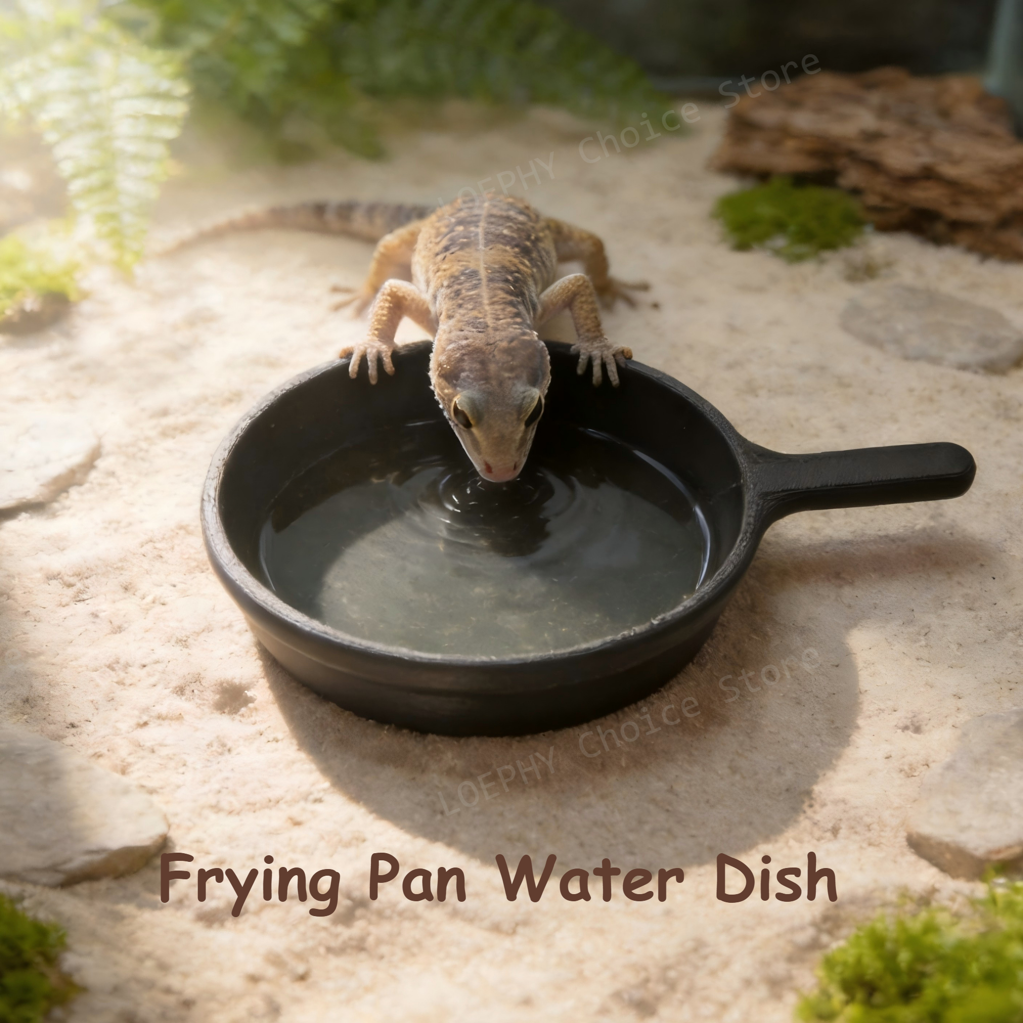 Funny Frying Pan Design Gecko  - Water Dish Reptile ulasan dan harga