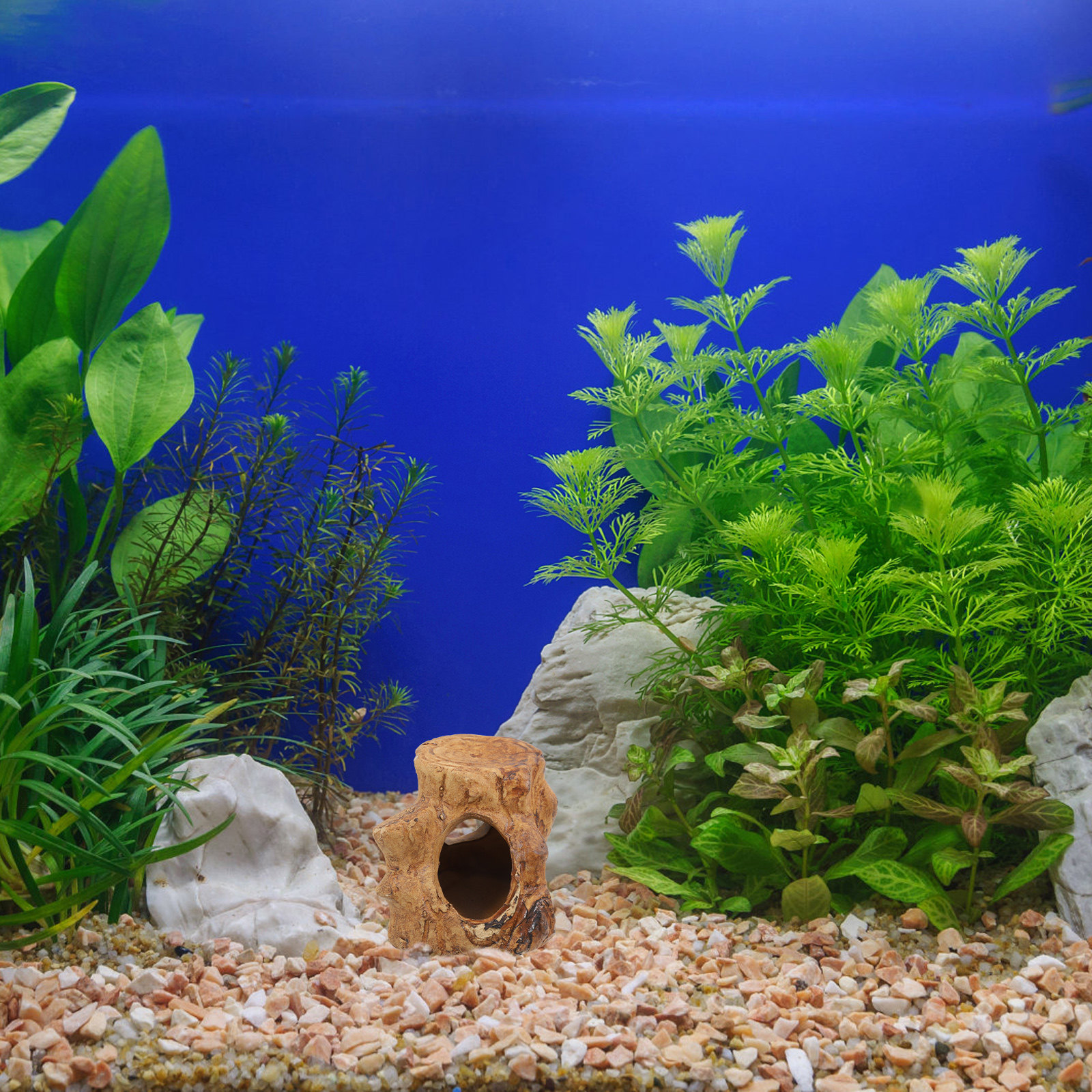 Smooth Ceramic Aquarium Caves  - Hide Cave Ceramic ulasan dan harga