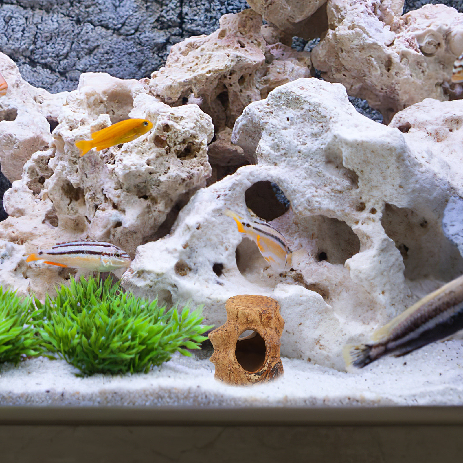 Smooth Ceramic Aquarium Caves  - Hide Cave Ceramic ulasan dan harga