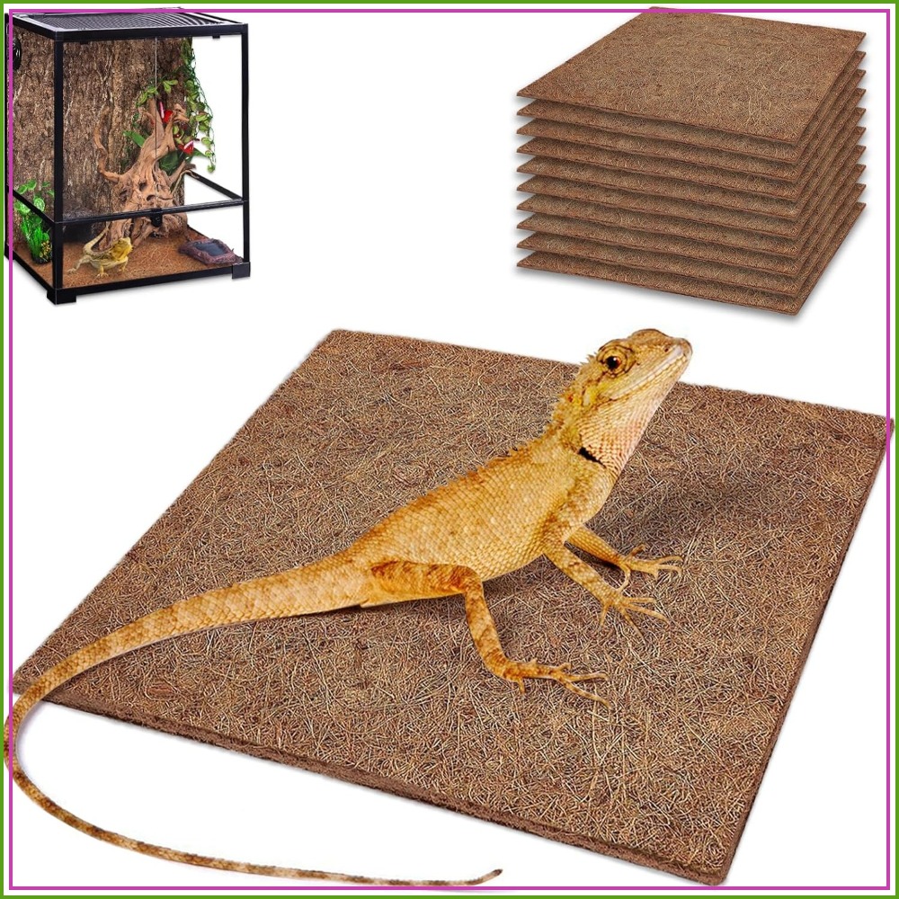 10 Pcs Natural Coconut Fiber R - Substrate Coconut Fiber ulasan dan harga
