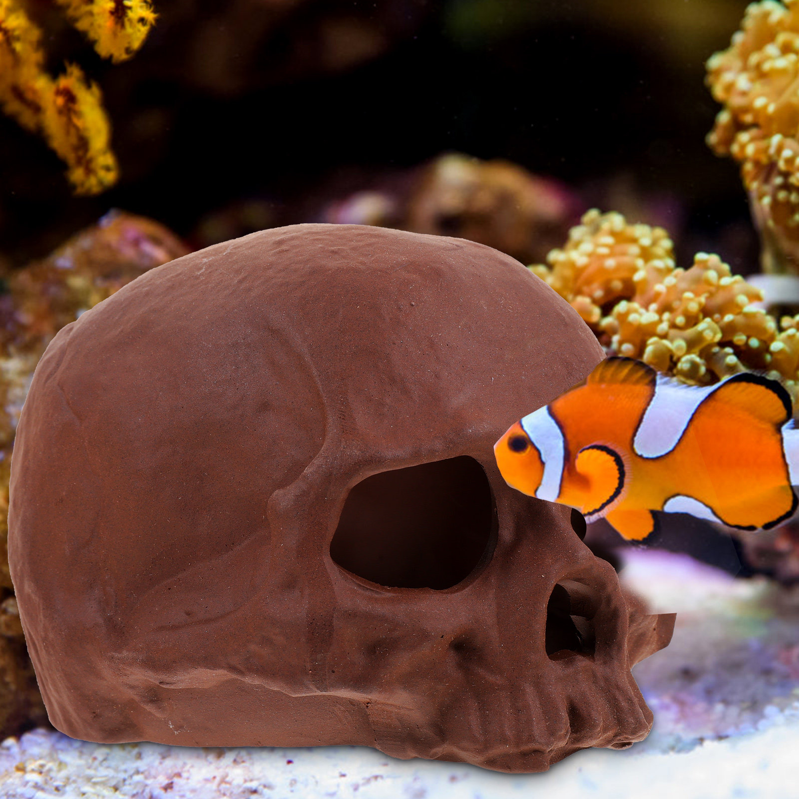 Ceramic Fish Tank Decoration S - Hide Cave Ceramic ulasan dan harga