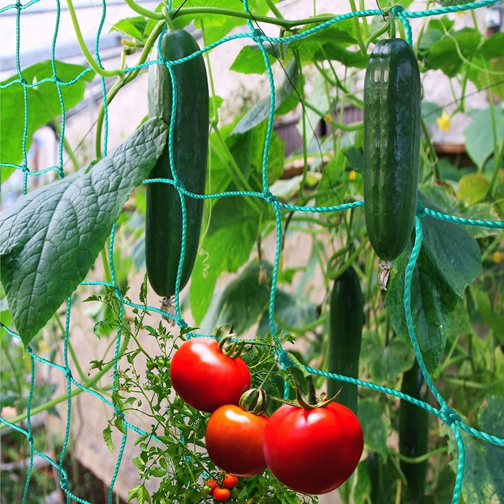 1pc Trellis Netting, Portable  - Vine Climbing Plastic ulasan dan harga