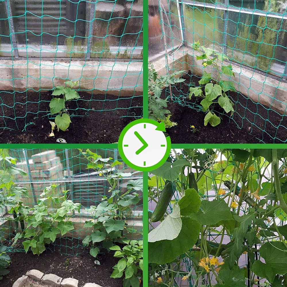 1pc Trellis Netting, Portable  - Vine Climbing Plastic ulasan dan harga