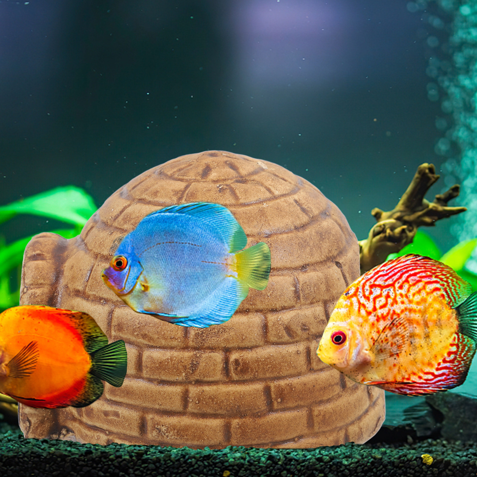 Pleco Caves for Aquarium Durab - Hide Cave Ceramic ulasan dan harga