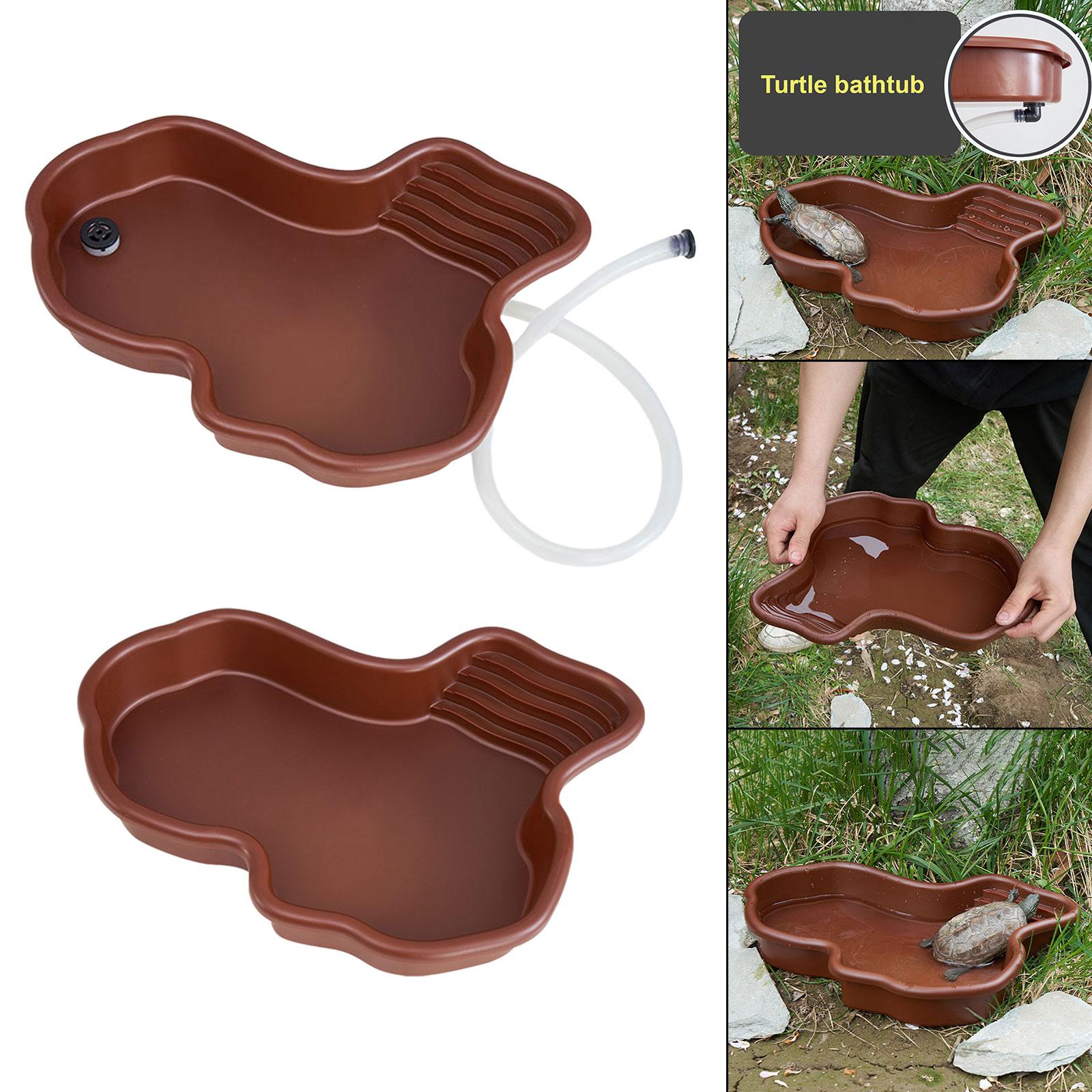 Reptile Bathing Pool Amphibian - Water Dish Reptile ulasan dan harga