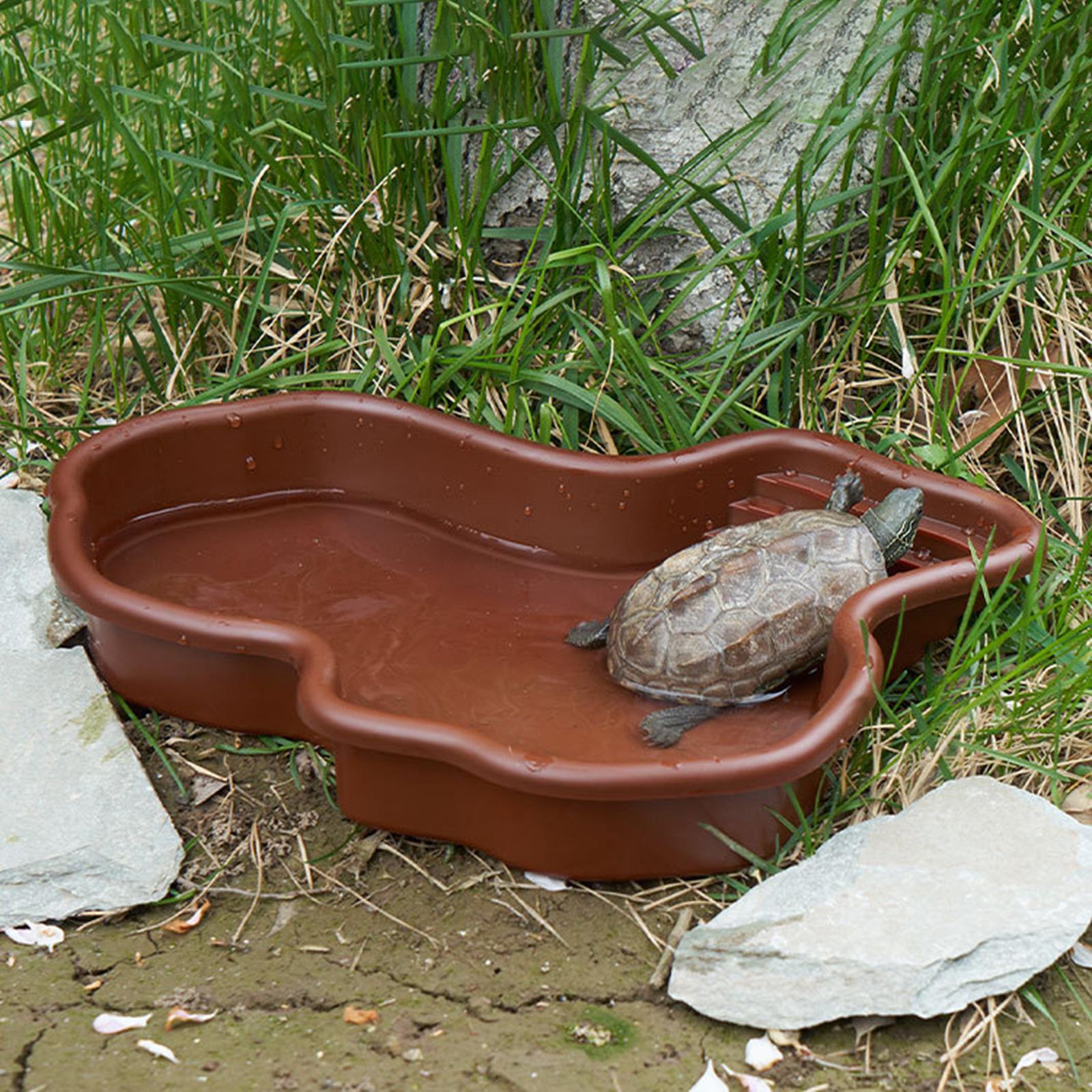 Reptile Bathing Pool Amphibian - Water Dish Reptile ulasan dan harga