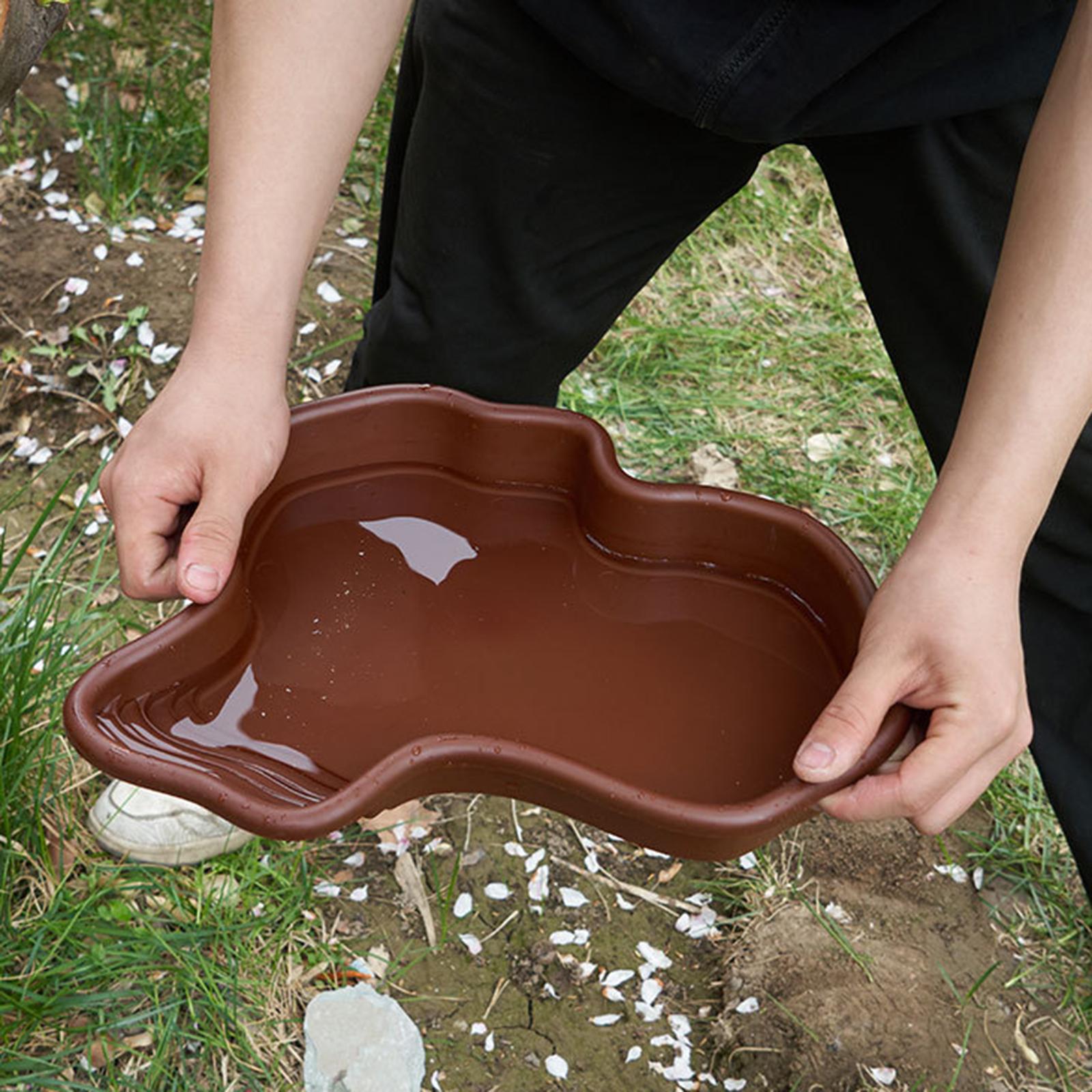 Reptile Bathing Pool Amphibian - Water Dish Reptile ulasan dan harga