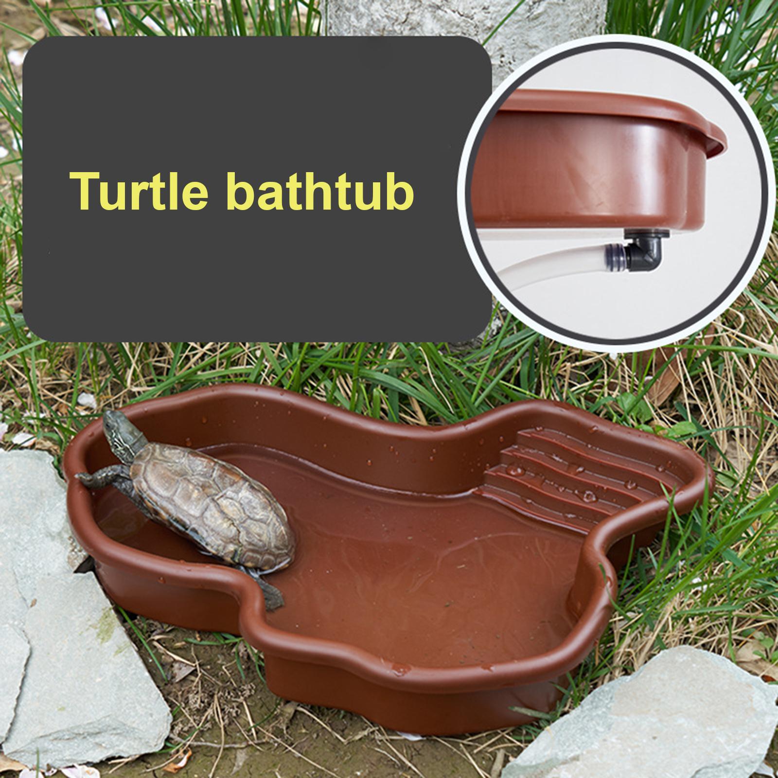 Reptile Bathing Pool Amphibian - Water Dish Reptile ulasan dan harga